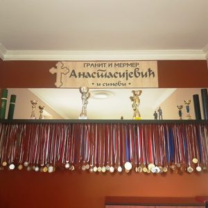 Uspesi porodice Anastasijevic