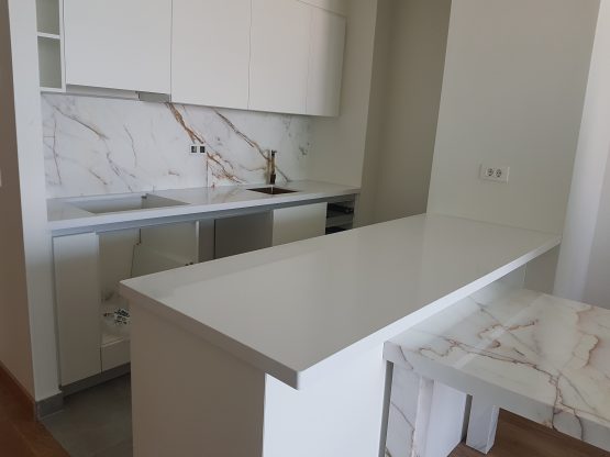 813 absolut white kalakata